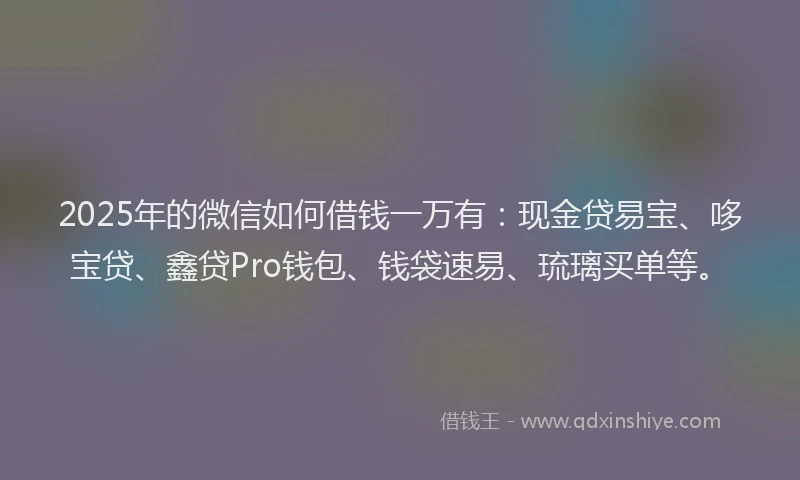 2025年的微信如何借钱一万有：现金贷易宝、哆宝贷、鑫贷Pro钱包、钱袋速易、琉璃买单等。