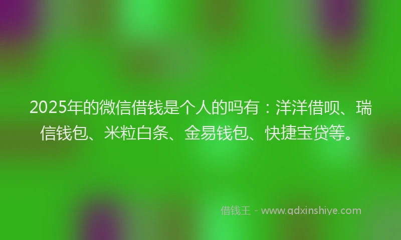 2025年的微信借钱是个人的吗有：洋洋借呗、瑞信钱包、米粒白条、金易钱包、快捷宝贷等。