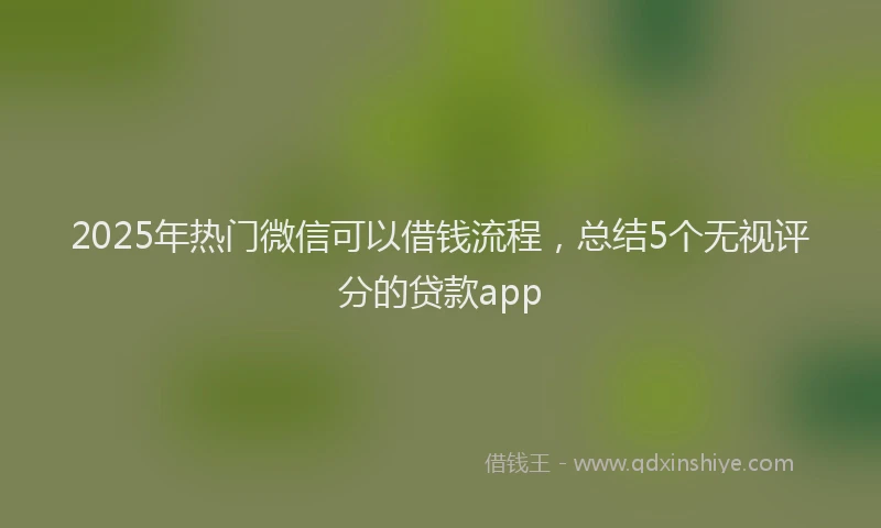 2025年热门微信可以借钱流程，总结5个无视评分的贷款app