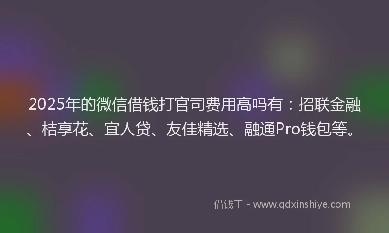 2025年的微信借钱打官司费用高吗有：招联金融、桔享花、宜人贷、友佳精选、融通Pro钱包等。