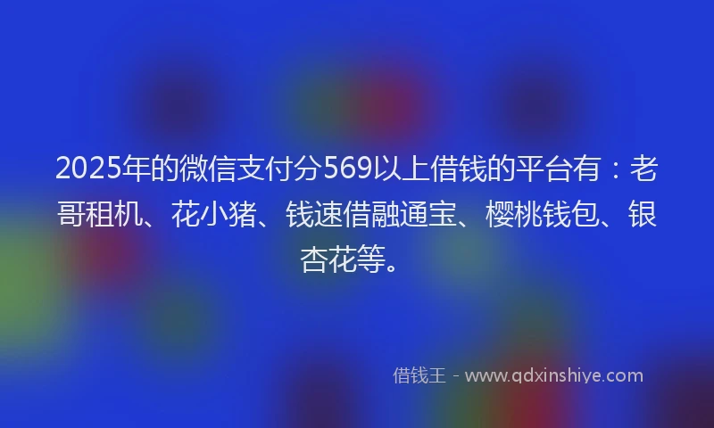 2025年的微信支付分569以上借钱的平台有：老哥租机、花小猪、钱速借融通宝、樱桃钱包、银杏花等。