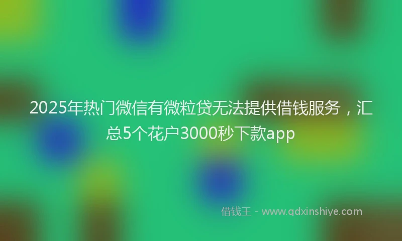 2025年热门微信有微粒贷无法提供借钱服务，汇总5个花户3000秒下款app