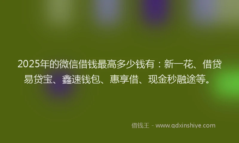 2025年的微信借钱最高多少钱有：新一花、借贷易贷宝、鑫速钱包、惠享借、现金秒融途等。
