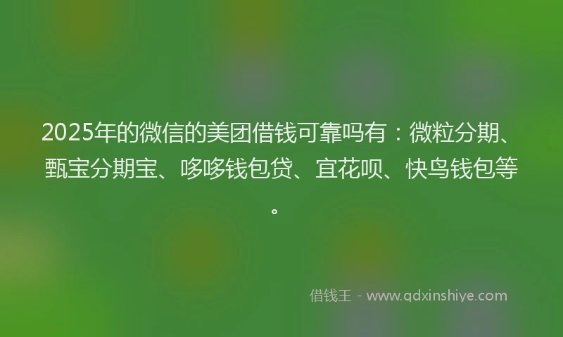2025年的微信的美团借钱可靠吗有：微粒分期、甄宝分期宝、哆哆钱包贷、宜花呗、快鸟钱包等。