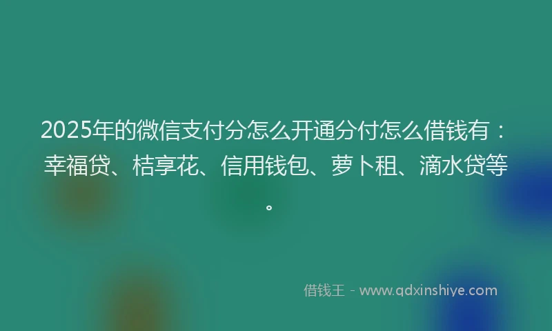 2025年的微信支付分怎么开通分付怎么借钱有：幸福贷、桔享花、信用钱包、萝卜租、滴水贷等。