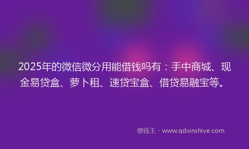 2025年的微信微分用能借钱吗有：手中商城、现金易贷盒、萝卜租、速贷宝盒、借贷易融宝等。