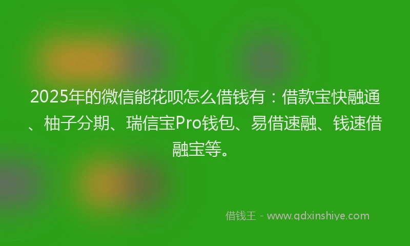 2025年的微信能花呗怎么借钱有：借款宝快融通、柚子分期、瑞信宝Pro钱包、易借速融、钱速借融宝等。