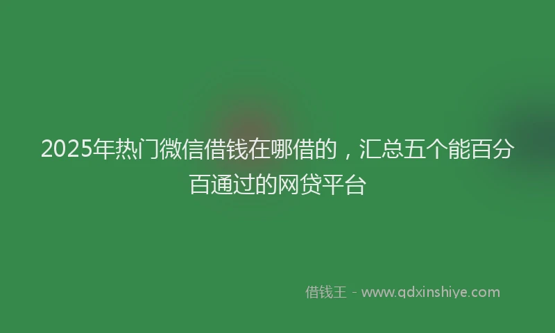 2025年热门微信借钱在哪借的，汇总五个能百分百通过的网贷平台