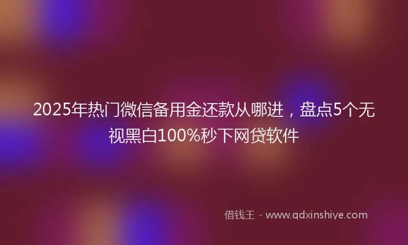 2025年热门微信备用金还款从哪进，盘点5个无视黑白100%秒下网贷软件