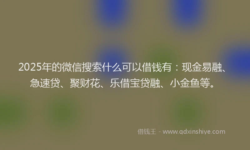 2025年的微信搜索什么可以借钱有：现金易融、急速贷、聚财花、乐借宝贷融、小金鱼等。