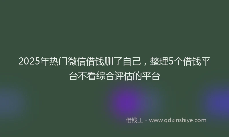 2025年热门微信借钱删了自己，整理5个借钱平台不看综合评估的平台