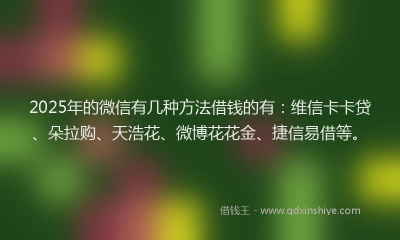 2025年的微信有几种方法借钱的有：维信卡卡贷、朵拉购、天浩花、微博花花金、捷信易借等。