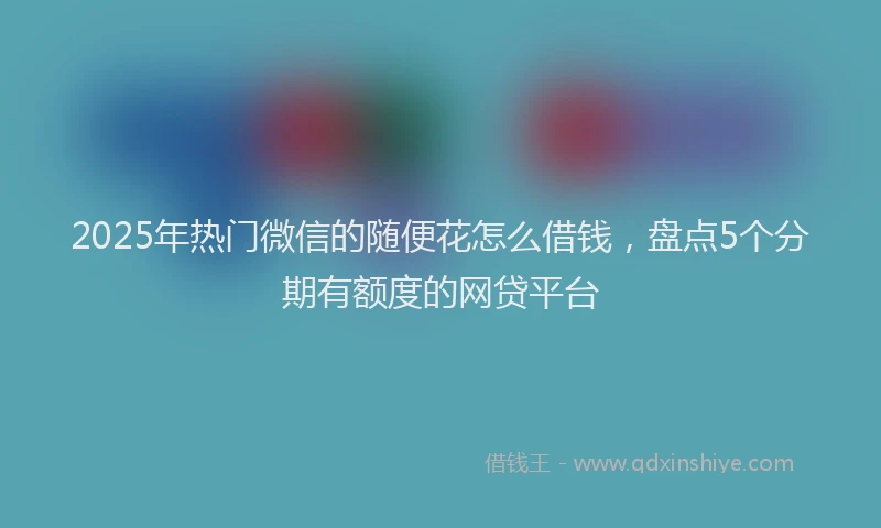 2025年热门微信的随便花怎么借钱，盘点5个分期有额度的网贷平台