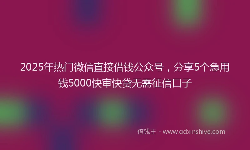 2025年热门微信直接借钱公众号，分享5个急用钱5000快审快贷无需征信口子