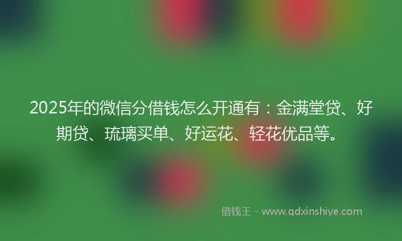 2025年的微信分借钱怎么开通有：金满堂贷、好期贷、琉璃买单、好运花、轻花优品等。