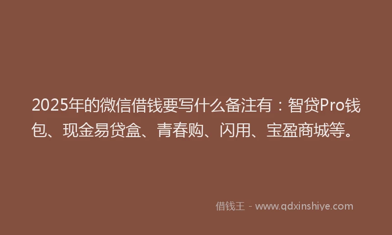 2025年的微信借钱要写什么备注有：智贷Pro钱包、现金易贷盒、青春购、闪用、宝盈商城等。