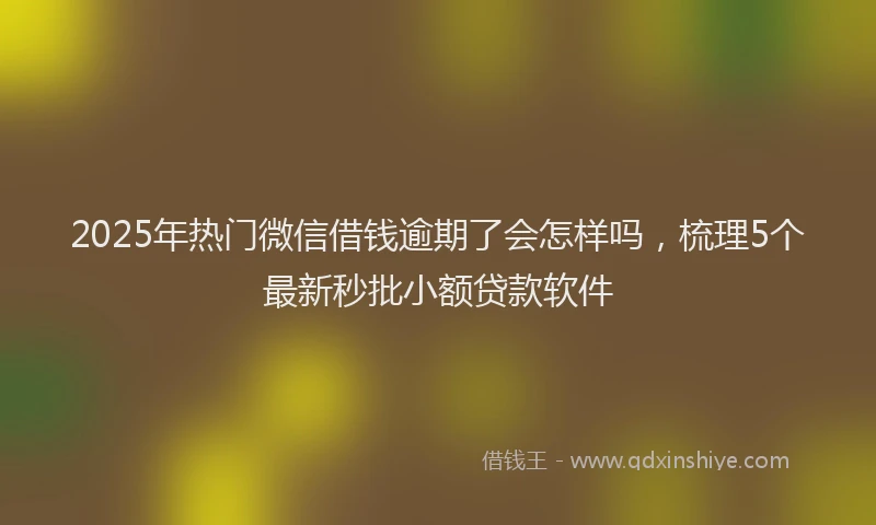 2025年热门微信借钱逾期了会怎样吗，梳理5个最新秒批小额贷款软件