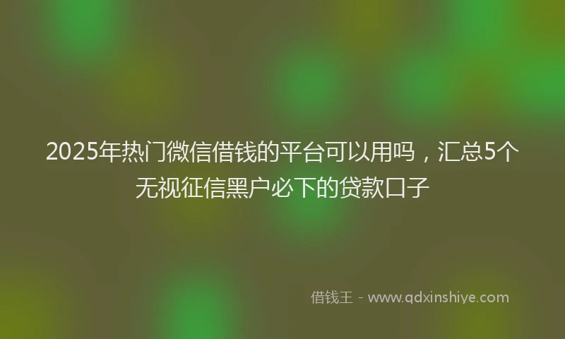 2025年热门微信借钱的平台可以用吗，汇总5个无视征信黑户必下的贷款口子
