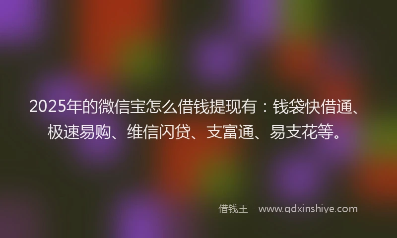 2025年的微信宝怎么借钱提现有：钱袋快借通、极速易购、维信闪贷、支富通、易支花等。