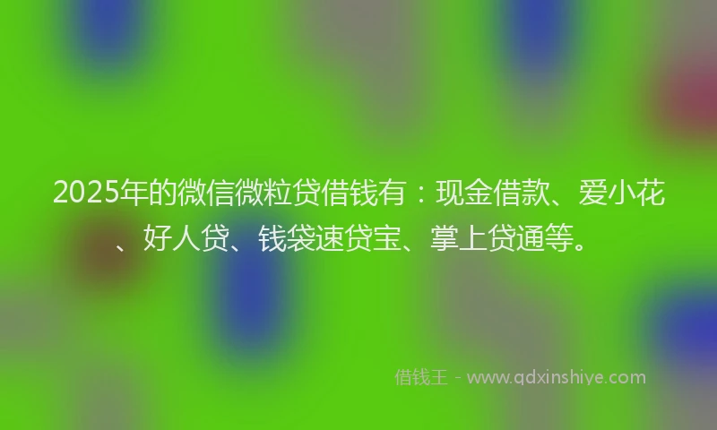 2025年的微信微粒贷借钱有：现金借款、爱小花、好人贷、钱袋速贷宝、掌上贷通等。