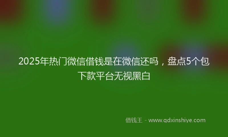 2025年热门微信借钱是在微信还吗，盘点5个包下款平台无视黑白