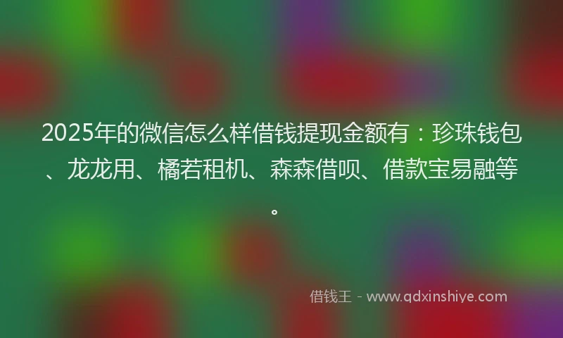 2025年的微信怎么样借钱提现金额有：珍珠钱包、龙龙用、橘若租机、森森借呗、借款宝易融等。