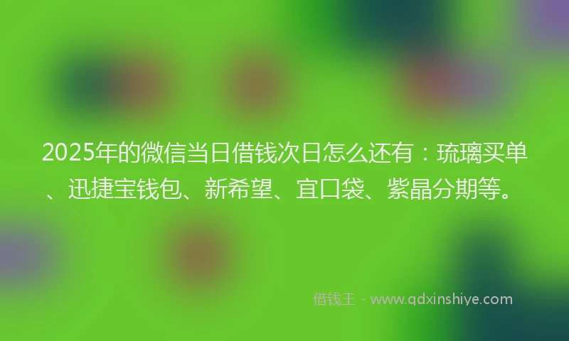 2025年的微信当日借钱次日怎么还有：琉璃买单、迅捷宝钱包、新希望、宜口袋、紫晶分期等。