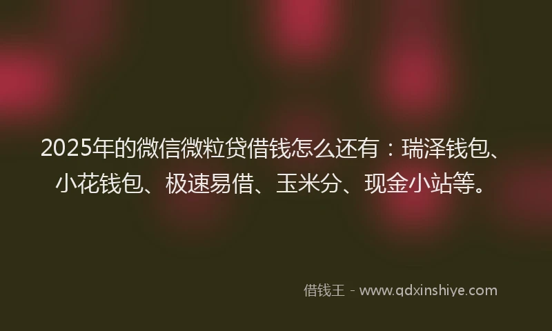 2025年的微信微粒贷借钱怎么还有：瑞泽钱包、小花钱包、极速易借、玉米分、现金小站等。