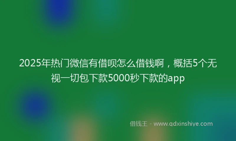 2025年热门微信有借呗怎么借钱啊，概括5个无视一切包下款5000秒下款的app