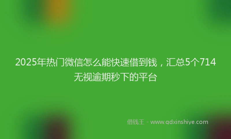 2025年热门微信怎么能快速借到钱，汇总5个714无视逾期秒下的平台