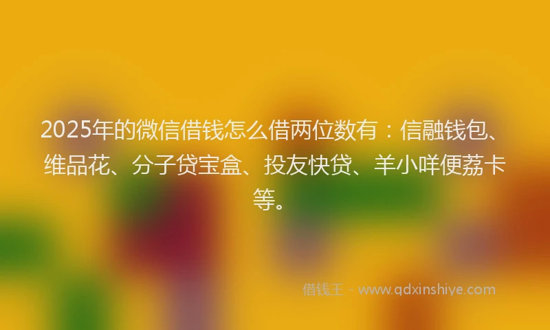 2025年的微信借钱怎么借两位数有：信融钱包、维品花、分子贷宝盒、投友快贷、羊小咩便荔卡等。