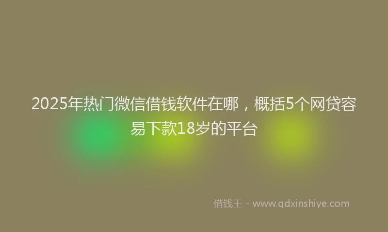 2025年热门微信借钱软件在哪，概括5个网贷容易下款18岁的平台