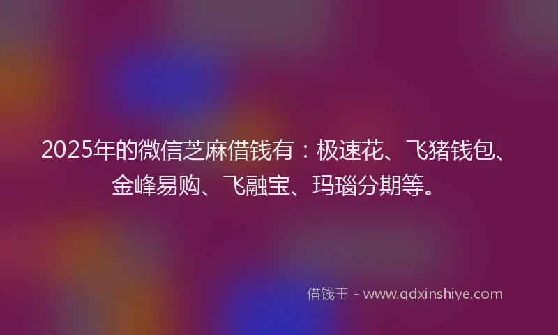 2025年的微信芝麻借钱有：极速花、飞猪钱包、金峰易购、飞融宝、玛瑙分期等。