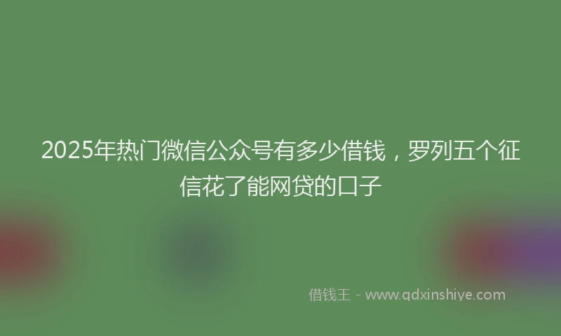2025年热门微信公众号有多少借钱，罗列五个征信花了能网贷的口子