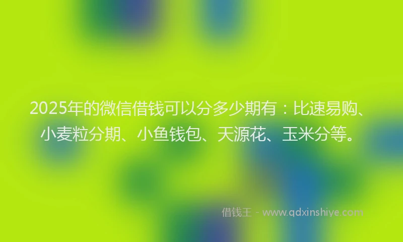 2025年的微信借钱可以分多少期有：比速易购、小麦粒分期、小鱼钱包、天源花、玉米分等。