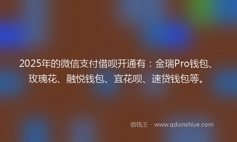 2025年的微信支付借呗开通有：金瑞Pro钱包、玫瑰花、融悦钱包、宜花呗、速贷钱包等。