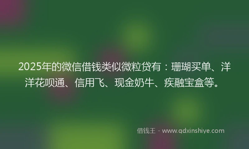 2025年的微信借钱类似微粒贷有：珊瑚买单、洋洋花呗通、信用飞、现金奶牛、疾融宝盒等。