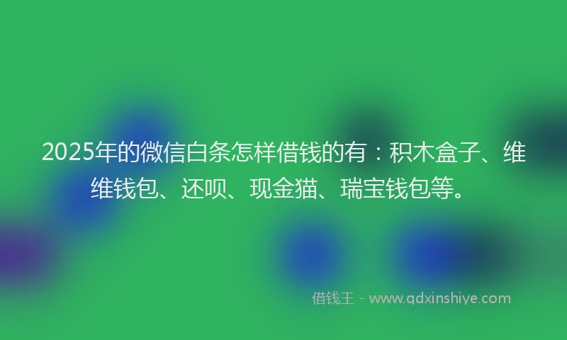 2025年的微信白条怎样借钱的有：积木盒子、维维钱包、还呗、现金猫、瑞宝钱包等。