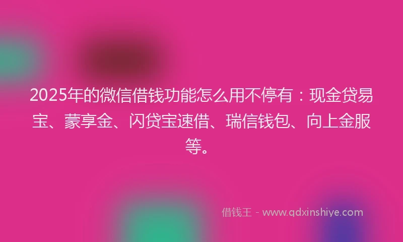2025年的微信借钱功能怎么用不停有：现金贷易宝、蒙享金、闪贷宝速借、瑞信钱包、向上金服等。