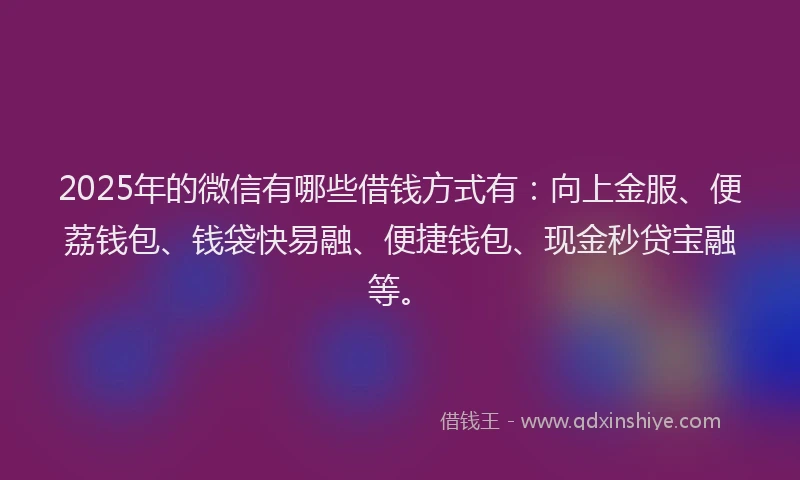 2025年的微信有哪些借钱方式有：向上金服、便荔钱包、钱袋快易融、便捷钱包、现金秒贷宝融等。