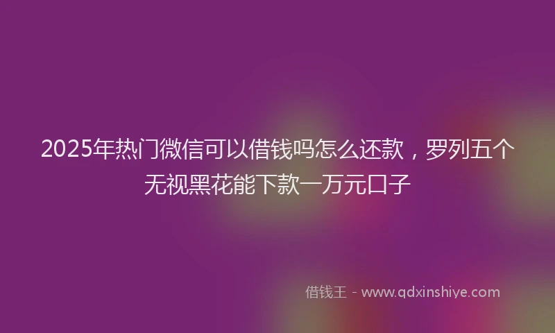 2025年热门微信可以借钱吗怎么还款，罗列五个无视黑花能下款一万元口子
