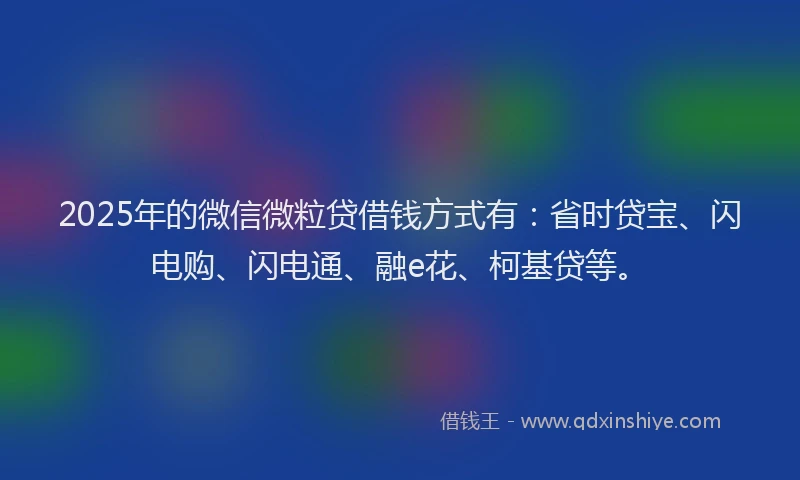 2025年的微信微粒贷借钱方式有：省时贷宝、闪电购、闪电通、融e花、柯基贷等。