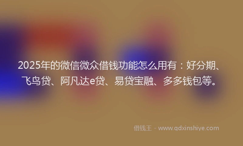 2025年的微信微众借钱功能怎么用有：好分期、飞鸟贷、阿凡达e贷、易贷宝融、多多钱包等。