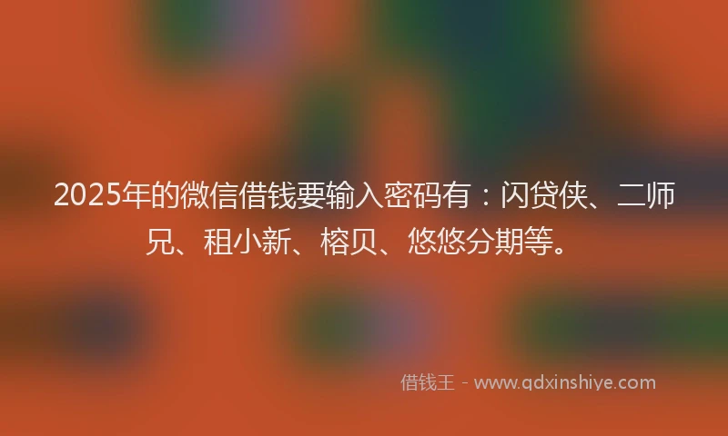 2025年的微信借钱要输入密码有：闪贷侠、二师兄、租小新、榕贝、悠悠分期等。