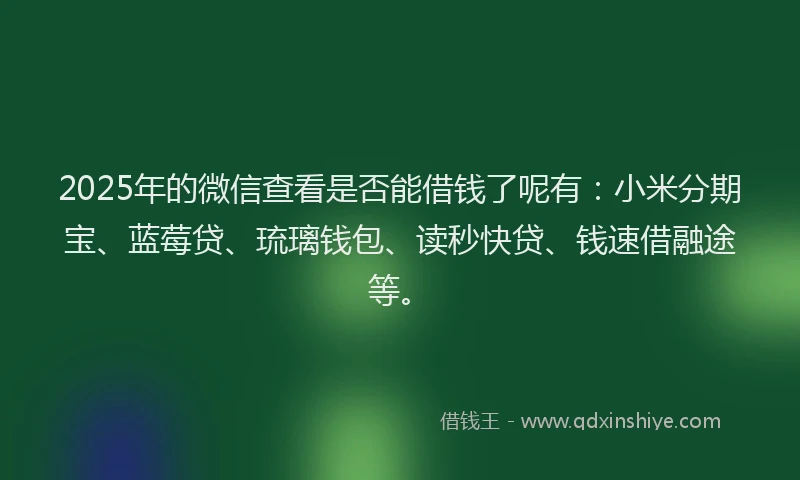 2025年的微信查看是否能借钱了呢有：小米分期宝、蓝莓贷、琉璃钱包、读秒快贷、钱速借融途等。