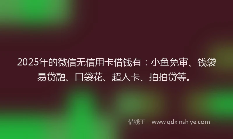 2025年的微信无信用卡借钱有：小鱼免审、钱袋易贷融、口袋花、超人卡、拍拍贷等。