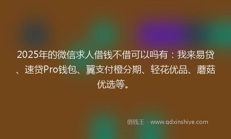 2025年的微信求人借钱不借可以吗有：我来易贷、速贷Pro钱包、翼支付橙分期、轻花优品、蘑菇优选等。