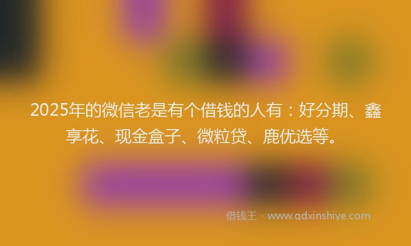 2025年的微信老是有个借钱的人有：好分期、鑫享花、现金盒子、微粒贷、鹿优选等。