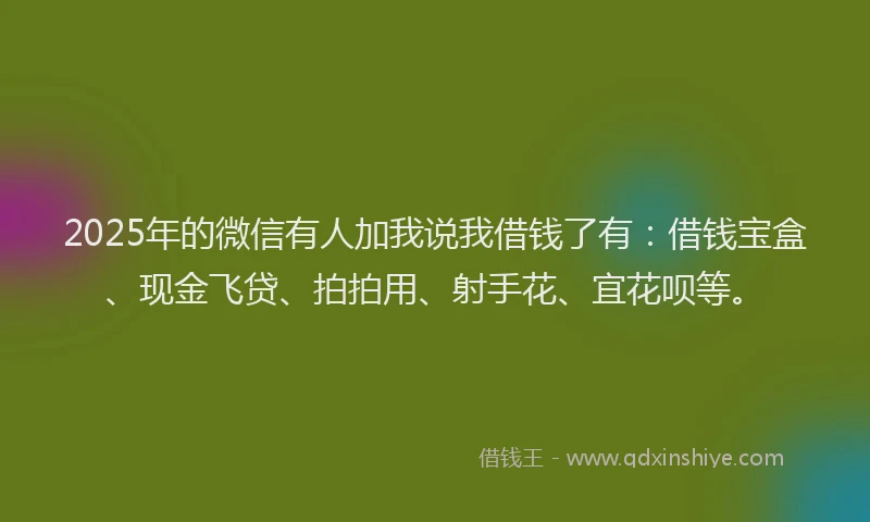 2025年的微信有人加我说我借钱了有：借钱宝盒、现金飞贷、拍拍用、射手花、宜花呗等。