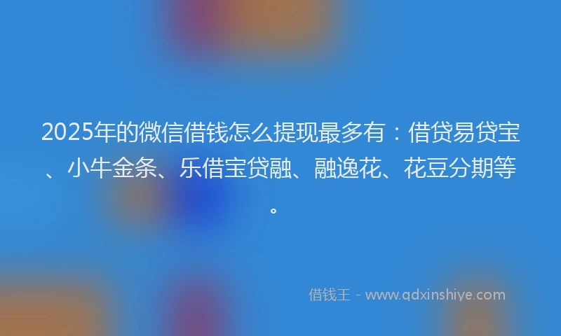 2025年的微信借钱怎么提现最多有：借贷易贷宝、小牛金条、乐借宝贷融、融逸花、花豆分期等。
